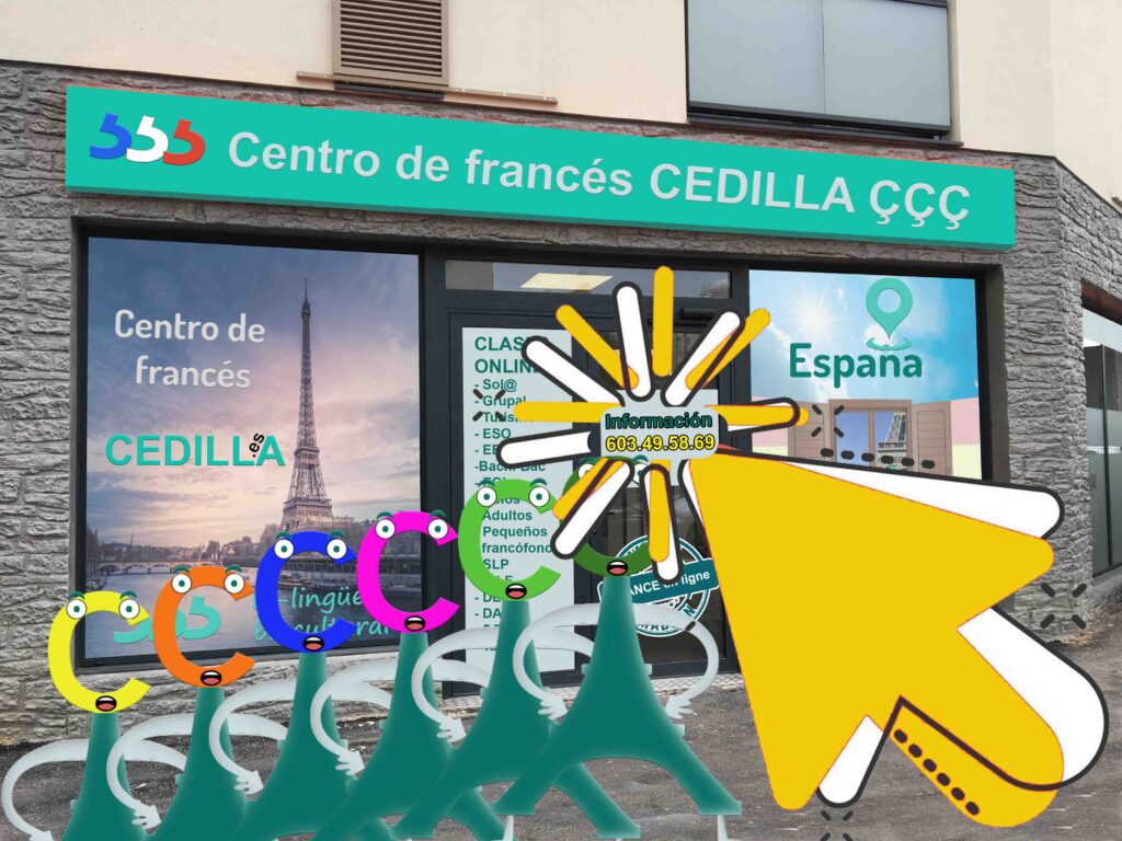 frances-en-internet-en-academia