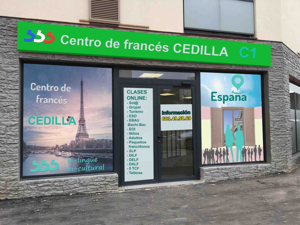frances-avanzado-nivel-c1-suiza
