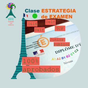 preparacion-examenes-frances-delf-dalf
